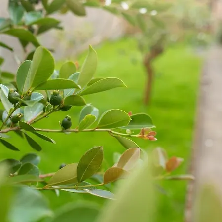 Сasa de vacaciones Casa Hortas