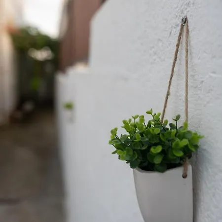 Casa Hortas Dom wakacyjny Vila Franca do Campo