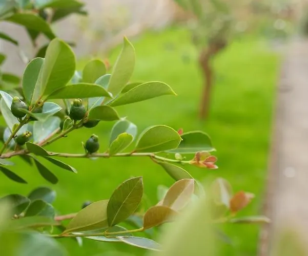 Сasa de vacaciones Casa Hortas
