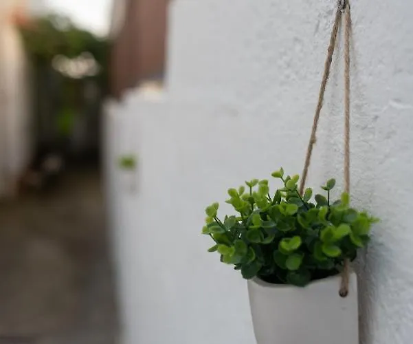 Casa Hortas 度假居 维拉弗兰卡杜坎普