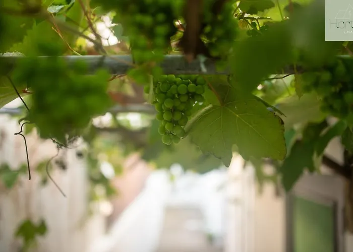 Casa Hortas 维拉弗兰卡杜坎普